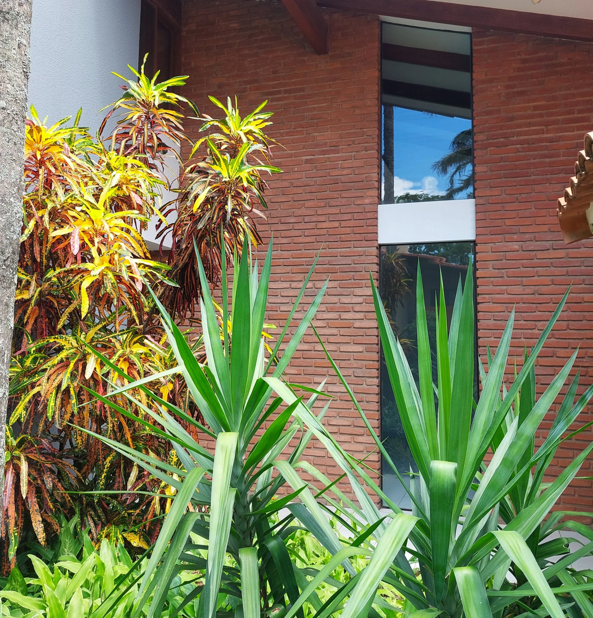 Vende - Casa "El Rosal"