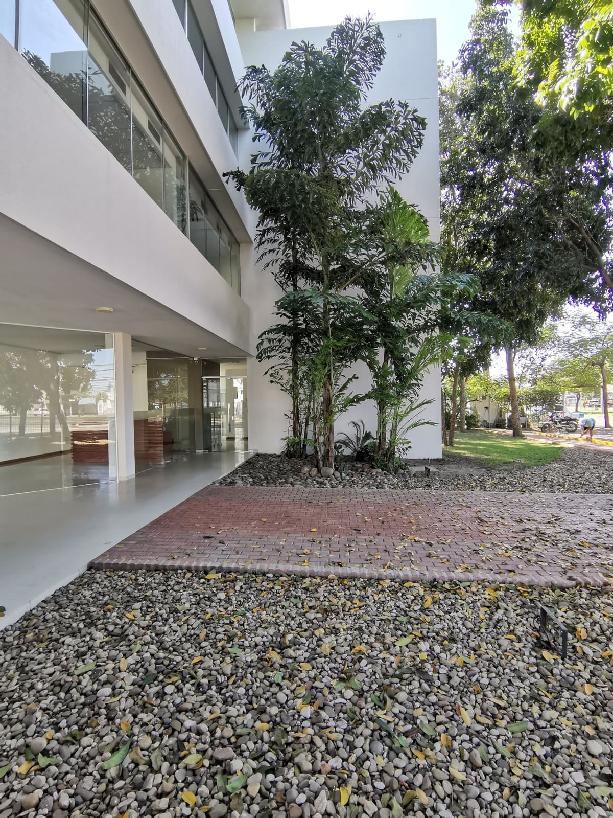 Edificio de Oficinas Corporativas Davinci - Foto 4